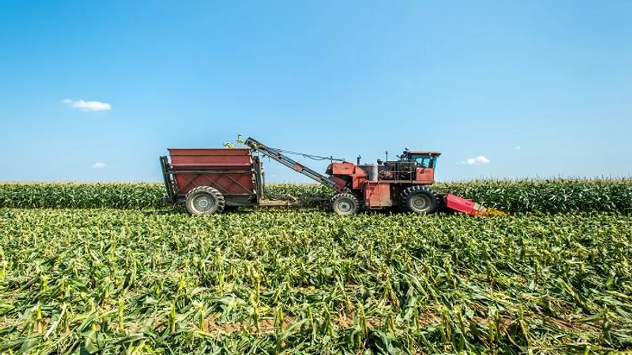 Nearly 28% rise in Maize exports in April January FY2022