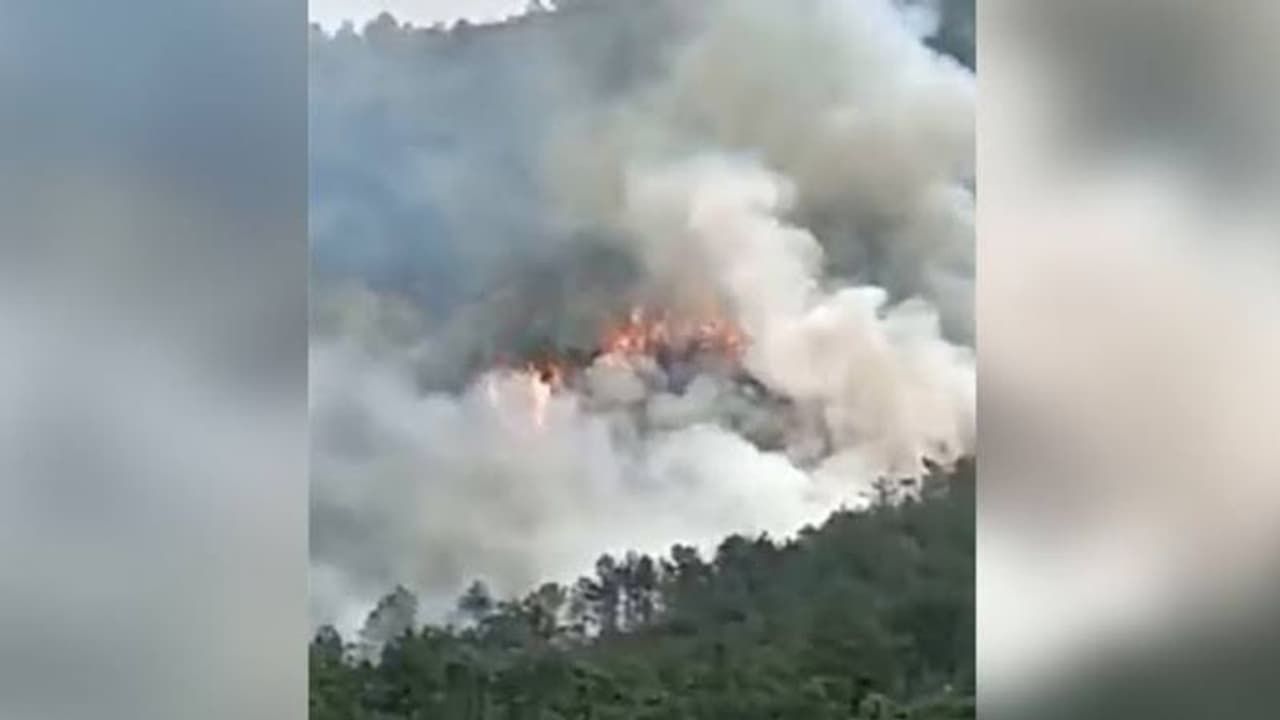 China Plane Crash:சீனாவில் 133 பயணிகளுடன் சென்ற விமானம் விபத்து.. பலர் உயிரிழந்திருக்கலாம் என பீதி..