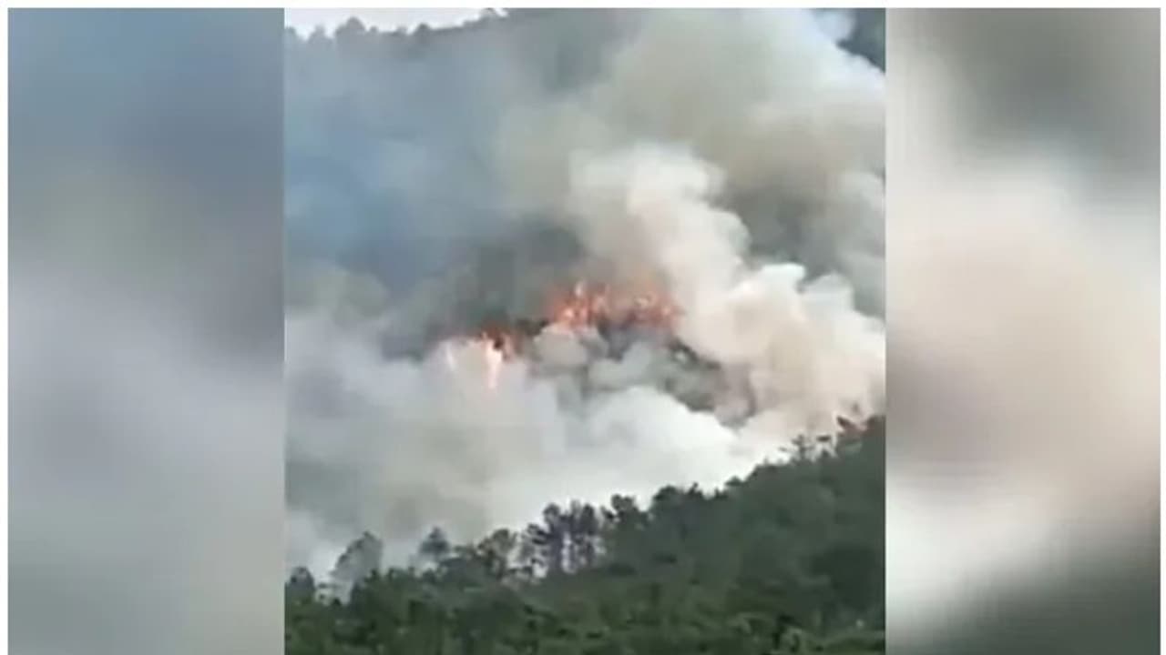 Plane Crash : ചൈനയില്‍ വിമാനം തകര്‍ന്നുവീണു; 132 യാത്രക്കാര്‍, രക്ഷാപ്രവര്‍ത്തനം പുരോഗമിക്കുന്നു