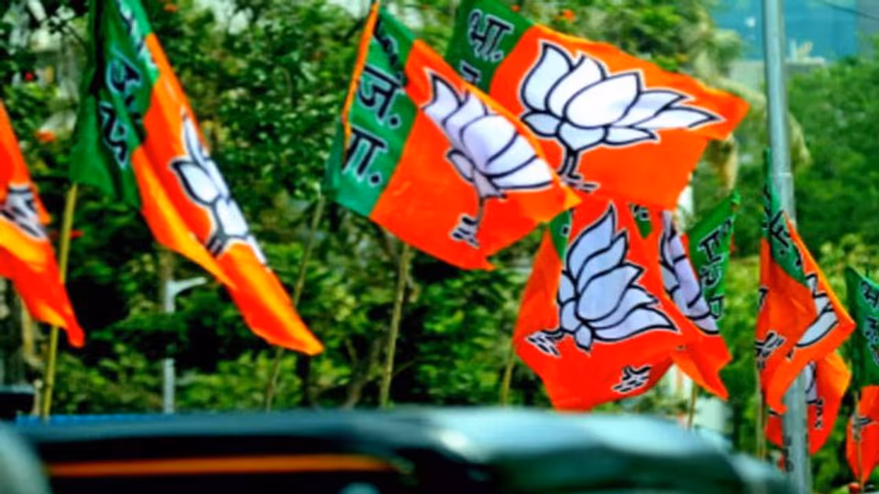 बीजेपी विधायक ने कहा हमने विपक्ष और विरोधियों का सम्मान करना नहीं सीखा बीजेपी विधायक ने कहा हमने विपक्ष और विरोधियों का सम्मान करना नहीं सीखा