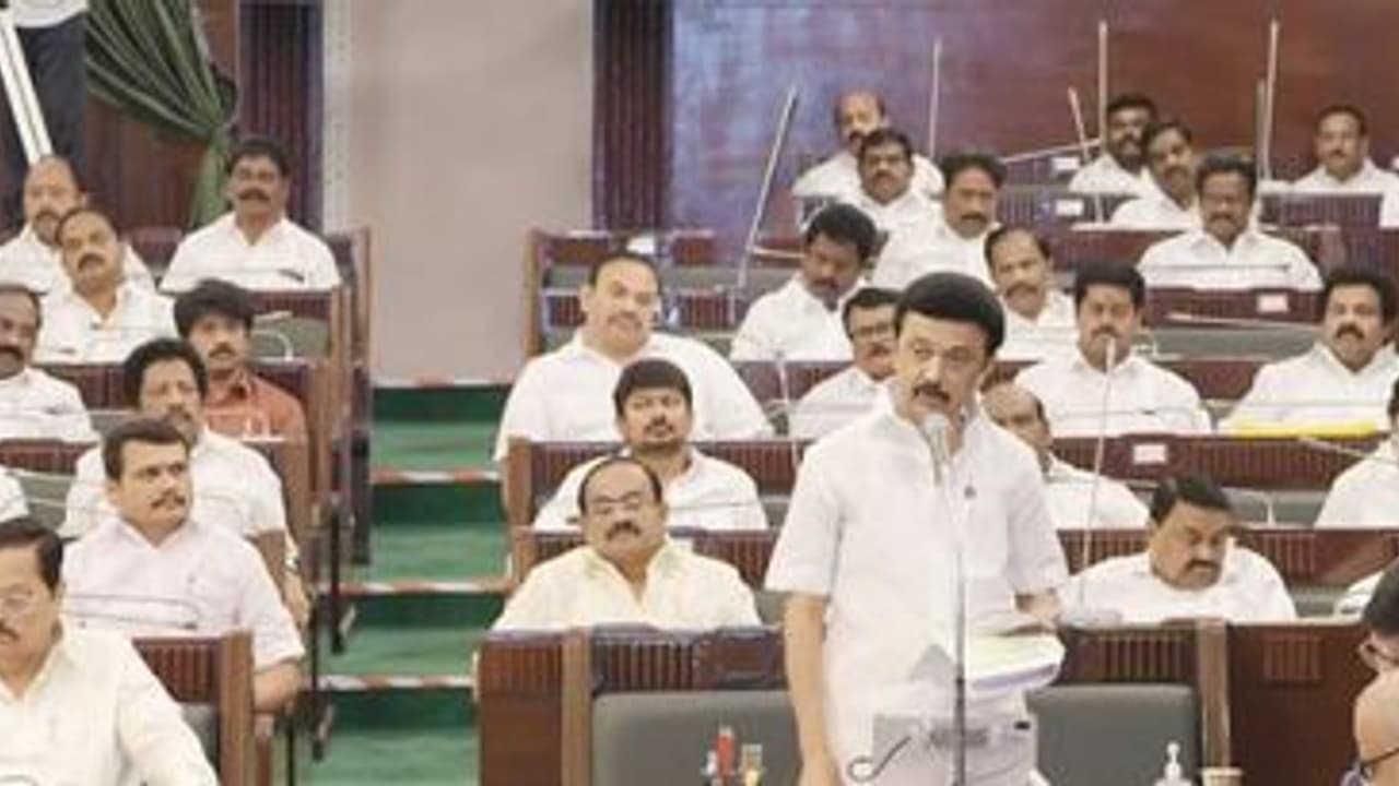 தவிக்கும் இலங்கைத் தமிழர்களுக்கு தாயாகும் தமிழக அரசு..! முதல்வர் ஸ்டாலின் உறுதி தவிக்கும் இலங்கைத் தமிழர்களுக்கு தாயாகும் தமிழக அரசு..! முதல்வர் ஸ்டாலின் உறுதி