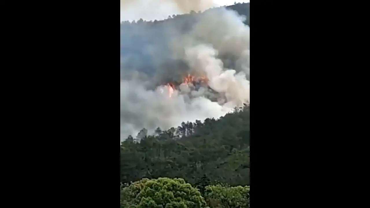 PM Modi 'shocked, saddened' over China plane crash with 132 onboard, prays for victims