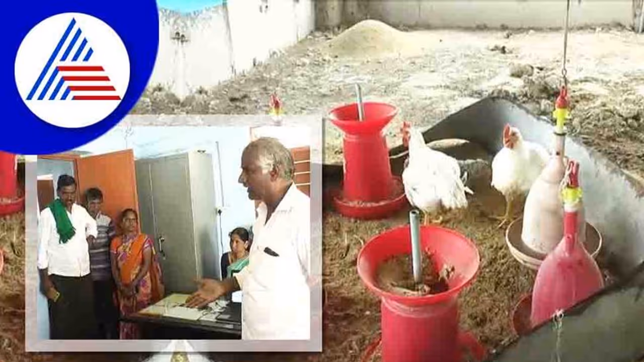 ಗ್ರಾ.ಪಂ ಚುನಾವಣೆ ದ್ವೇಷಕ್ಕೆ ಕೋಳಿ ಫಾರಂಗೆ ಕುತ್ತು, ದಯಾಮರಣಕ್ಕೆ ಚಿತ್ರದುರ್ಗ ಕುಟುಂಬದ ಮನವಿ