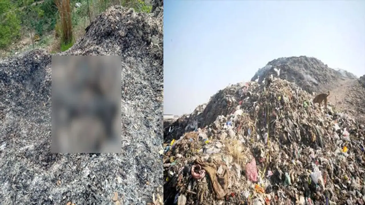 यूपी सरकार के 'महिला सुरक्षा' वाले दावे हुए फेल, कूड़े के ढेर में मिला महिला का जला हुआ शव, जांच में जुटी पुलिस यूपी सरकार के 'महिला सुरक्षा' वाले दावे हुए फेल, कूड़े के ढेर में मिला महिला का जला हुआ शव, जांच में जुटी पुलिस