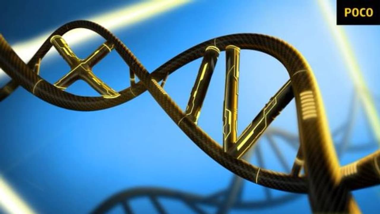 Poco X4 Pro 5G: புதிய 5ஜி ஸ்மார்ட்போன் வெளியீட்டு தேதியை சூசகமாக அறிவித்த போக்கோ..!