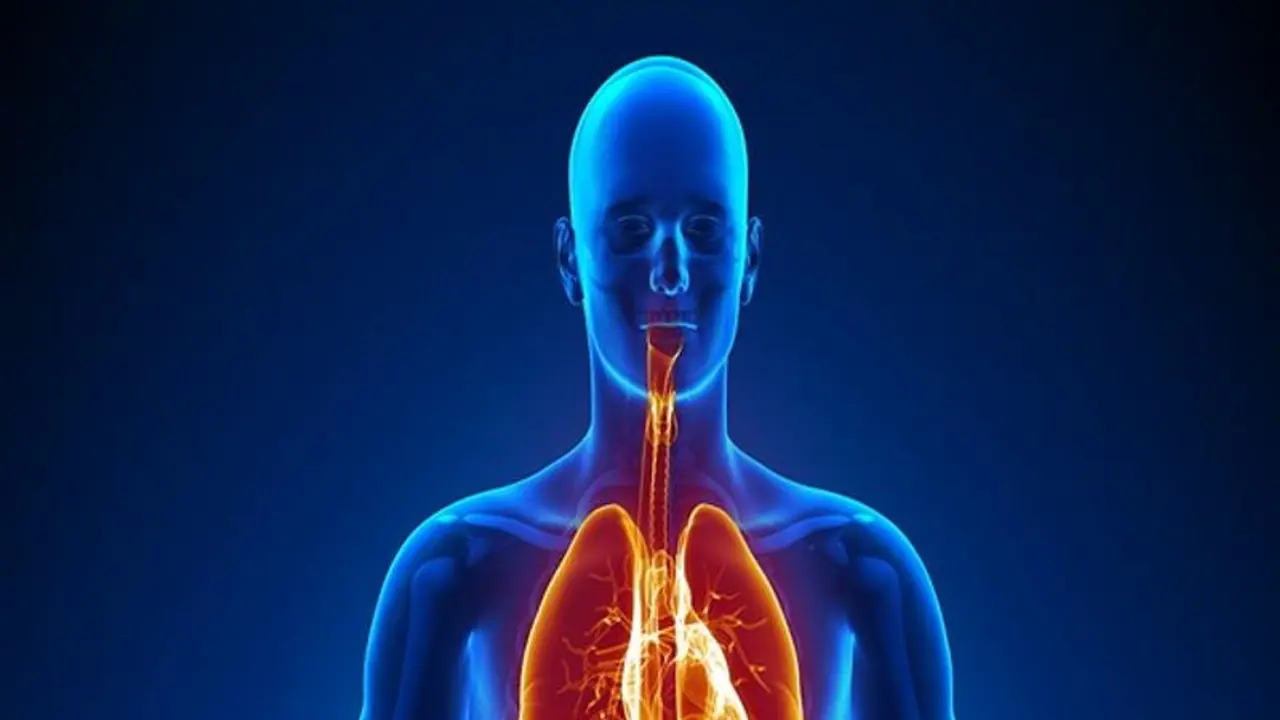 সোডিয়ামের অভাবে হতে পারে মৃত্যু, জেনে এর লক্ষণ ও দ্রুত চিকিৎসা পদ্ধতি সোডিয়ামের অভাবে হতে পারে মৃত্যু, জেনে এর লক্ষণ ও দ্রুত চিকিৎসা পদ্ধতি