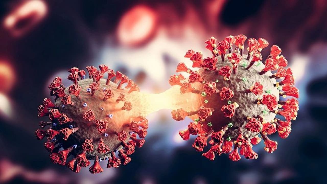 TN Corona : தமிழகத்தை அச்சுறுத்தும் கொரோனா.. உஷார் மக்களே ! முகக்கவசம் அவசியம்.!!