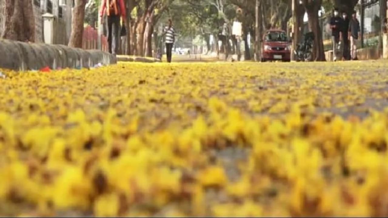 Mandya : 14ರಿಂದ 20ರವರೆಗೆ ಸಹಕಾರ ಸಪ್ತಾಹ ಆಚರಣೆ Mandya : 14ರಿಂದ 20ರವರೆಗೆ ಸಹಕಾರ ಸಪ್ತಾಹ ಆಚರಣೆ