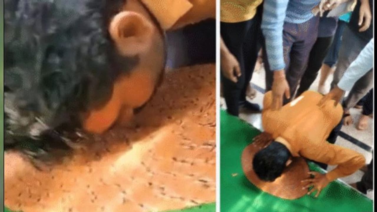 राजस्थान में द कश्मीर फाइल्स पर ऐसा क्या हो गया, जो युवक से मंदिर में रगड़वा दी नाक राजस्थान में द कश्मीर फाइल्स पर ऐसा क्या हो गया, जो युवक से मंदिर में रगड़वा दी नाक