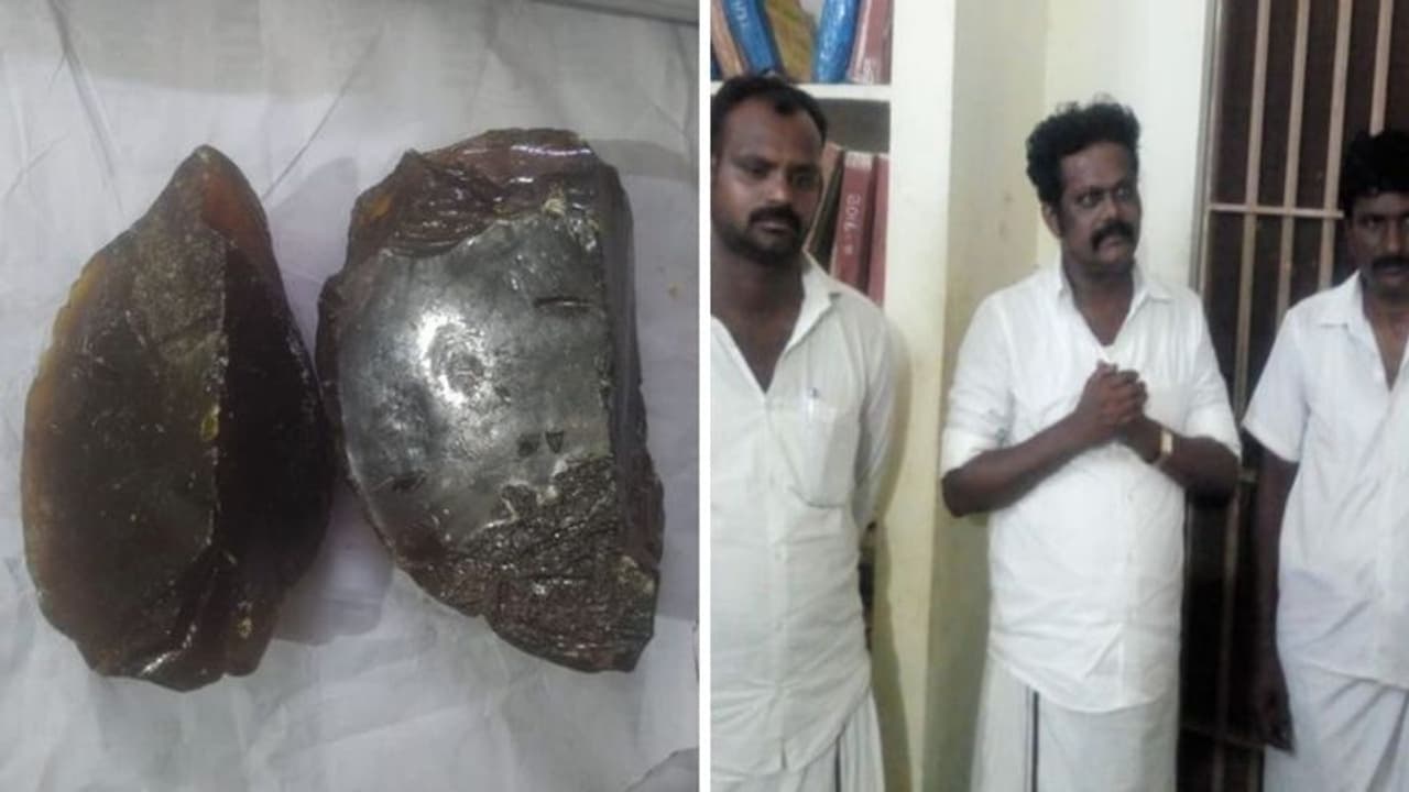 3 கோடி மதிப்புள்ள திமிங்கல எச்சம் பறிமுதல்.. மதுரை அருகே துணிகர சம்பவம் ! 3 கோடி மதிப்புள்ள திமிங்கல எச்சம் பறிமுதல்.. மதுரை அருகே துணிகர சம்பவம் !