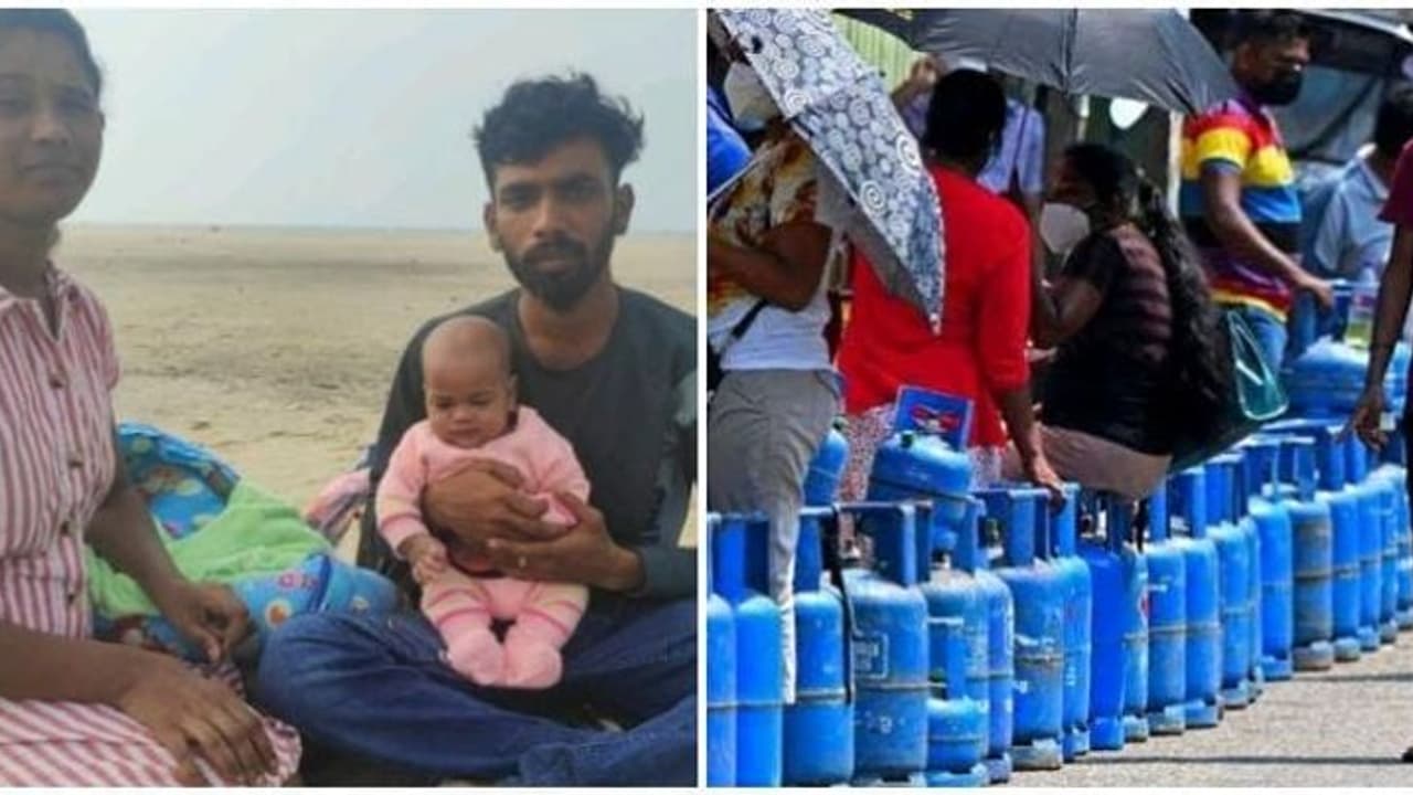 ஒரு கிளாஸ் டீ ரூ.100...! ஒரு முட்டை விலை ரூ.38..! பசியால் உயிருக்கு போராடும் குழந்தைகள்? ஒரு கிளாஸ் டீ ரூ.100...! ஒரு முட்டை விலை ரூ.38..! பசியால் உயிருக்கு போராடும் குழந்தைகள்?