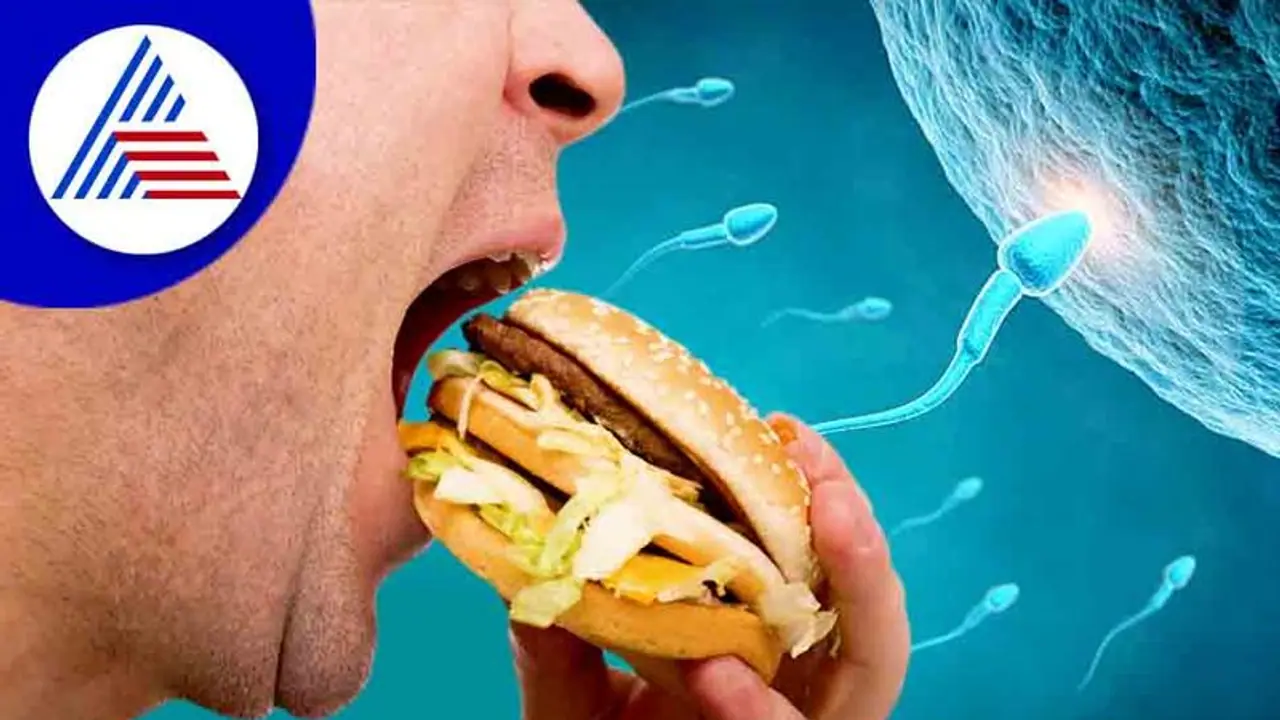 ಪುರುಷರು ಈ ಆಹಾರ ಸೇವಿಸಿದ್ರೆ ವೀರ್ಯದ ಸಂಖ್ಯೆ ಕಡಿಮೆಯಾಗುತ್ತಂತೆ ! ಪುರುಷರು ಈ ಆಹಾರ ಸೇವಿಸಿದ್ರೆ ವೀರ್ಯದ ಸಂಖ್ಯೆ ಕಡಿಮೆಯಾಗುತ್ತಂತೆ !