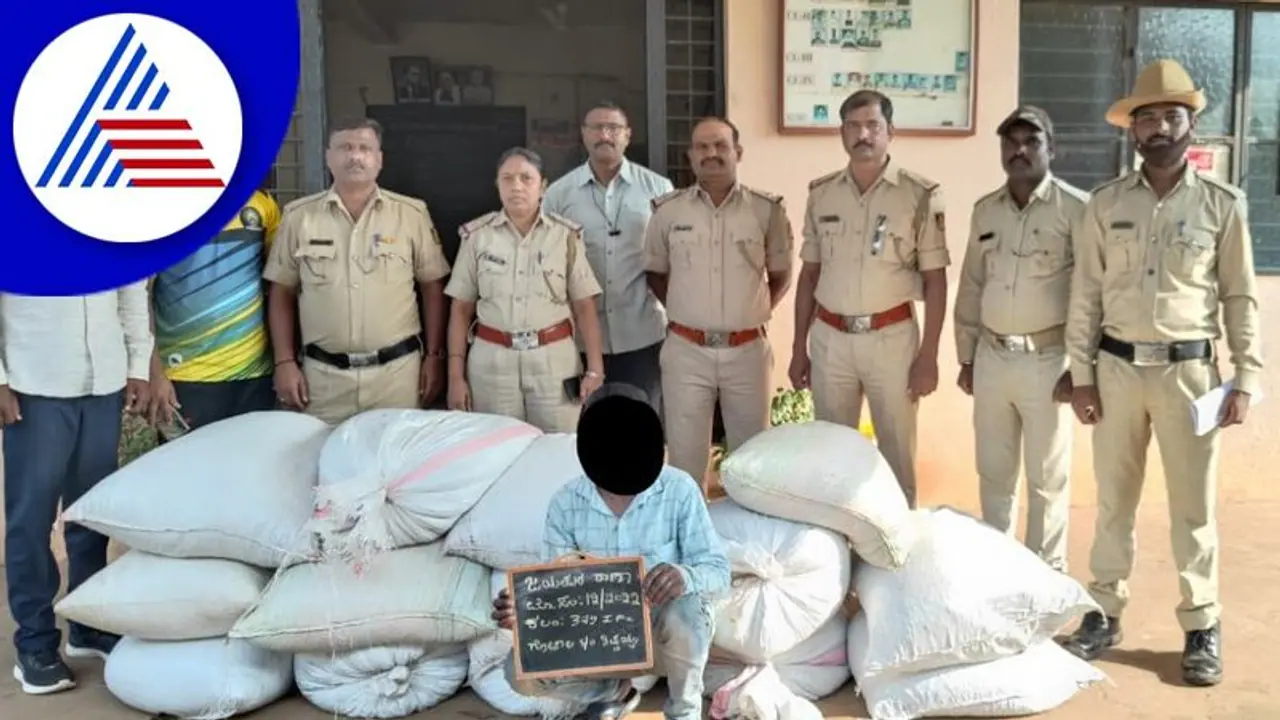 ಮಲೆನಾಡಿನಲ್ಲಿ ಕಾಫಿ ಕಳ್ಳತನದ ಹಾದಿ ಹಿಡಿದಿರುವ ಕೆಲ ಯುವಕರು: ಓರ್ವನ ಬಂಧನ ಮಲೆನಾಡಿನಲ್ಲಿ ಕಾಫಿ ಕಳ್ಳತನದ ಹಾದಿ ಹಿಡಿದಿರುವ ಕೆಲ ಯುವಕರು: ಓರ್ವನ ಬಂಧನ