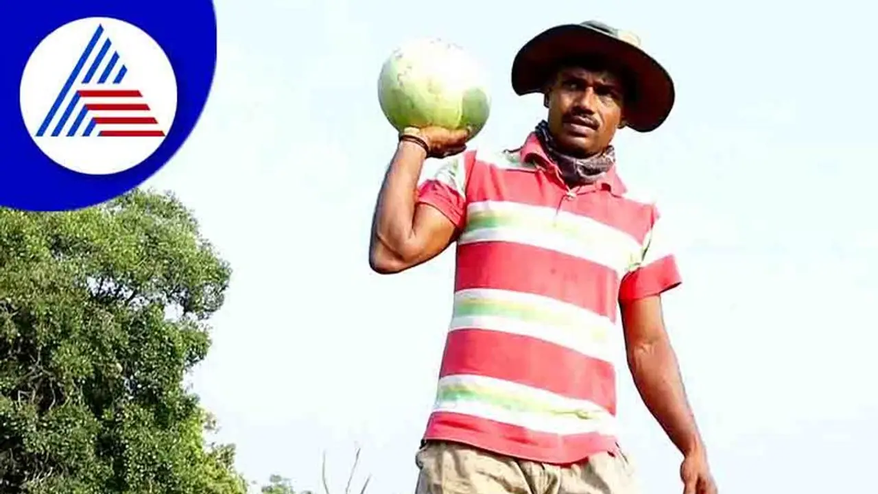  ಮಟ್ಟುಗುಳ್ಳ ತರಕಾರಿ ಬೆಳೆಯುವಲ್ಲಿ ಕಲ್ಲಂಗಡಿ ಬೆಳೆದು ಸೈ ಎನಿಸಿಕೊಂಡ ಉಡುಪಿ ರೈತ