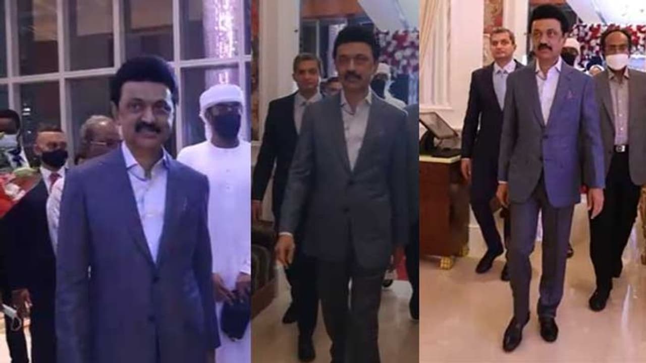 துபாயில் கோட் சூட்டில் கெத்து காட்டும் முதல்வர் ஸ்டாலின்.. அட டோட்டலா ஸ்டைலே மாறிப்போச்சு..! துபாயில் கோட் சூட்டில் கெத்து காட்டும் முதல்வர் ஸ்டாலின்.. அட டோட்டலா ஸ்டைலே மாறிப்போச்சு..!