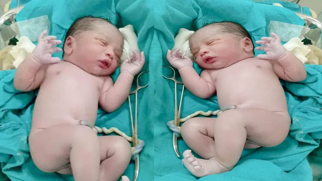 टेस्ट ट्यूब बेबी से बच्चे का जन्म : बिहार झारखंड का पहला सरकारी अस्पताल जहां IVF से भर गई मां की सूनी गोद टेस्ट ट्यूब बेबी से बच्चे का जन्म : बिहार झारखंड का पहला सरकारी अस्पताल जहां IVF से भर गई मां की सूनी गोद