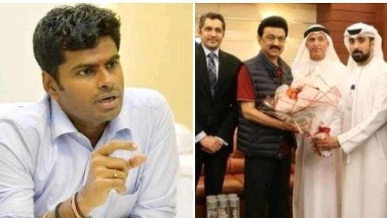 ஸ்டாலின் துபாய் பயணத்தின் மா்மம் என்ன ? அண்ணாமலையின் பகீர் குற்றச்சாட்டு...! ஸ்டாலின் துபாய் பயணத்தின் மா்மம் என்ன ? அண்ணாமலையின் பகீர் குற்றச்சாட்டு...!