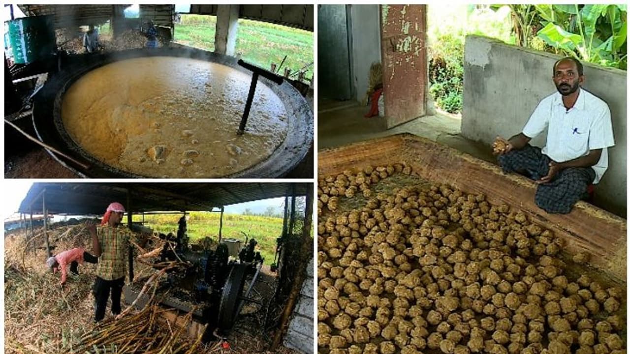 മറയൂര് ശര്ക്കര വ്യവസായം കടുത്ത പ്രതിസന്ധിയിൽ; വില്ലനാകുന്നത് തമിഴ്നാട്ടിൽ നിന്നെത്തുന്ന വ്യാജൻ! മറയൂര് ശര്ക്കര വ്യവസായം കടുത്ത പ്രതിസന്ധിയിൽ; വില്ലനാകുന്നത് തമിഴ്നാട്ടിൽ നിന്നെത്തുന്ന വ്യാജൻ!