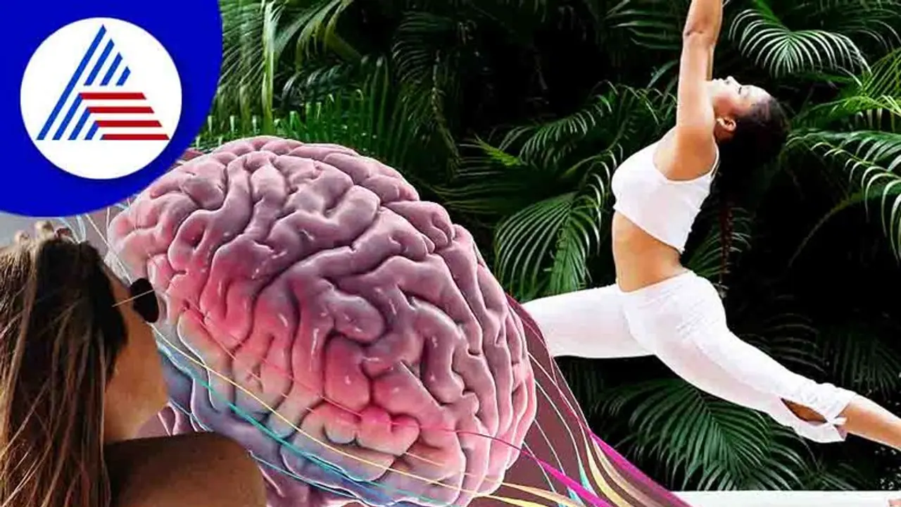 Healthy Habits: ಆರೋಗ್ಯದ ಮೇಲೆ ಅಡ್ಡ ಪರಿಣಾಮ ಬೀರ್ತಿವೆ ಖುಷಿ ನೀಡುವ ಕೆಲಸಗಳು..! Healthy Habits: ಆರೋಗ್ಯದ ಮೇಲೆ ಅಡ್ಡ ಪರಿಣಾಮ ಬೀರ್ತಿವೆ ಖುಷಿ ನೀಡುವ ಕೆಲಸಗಳು..!