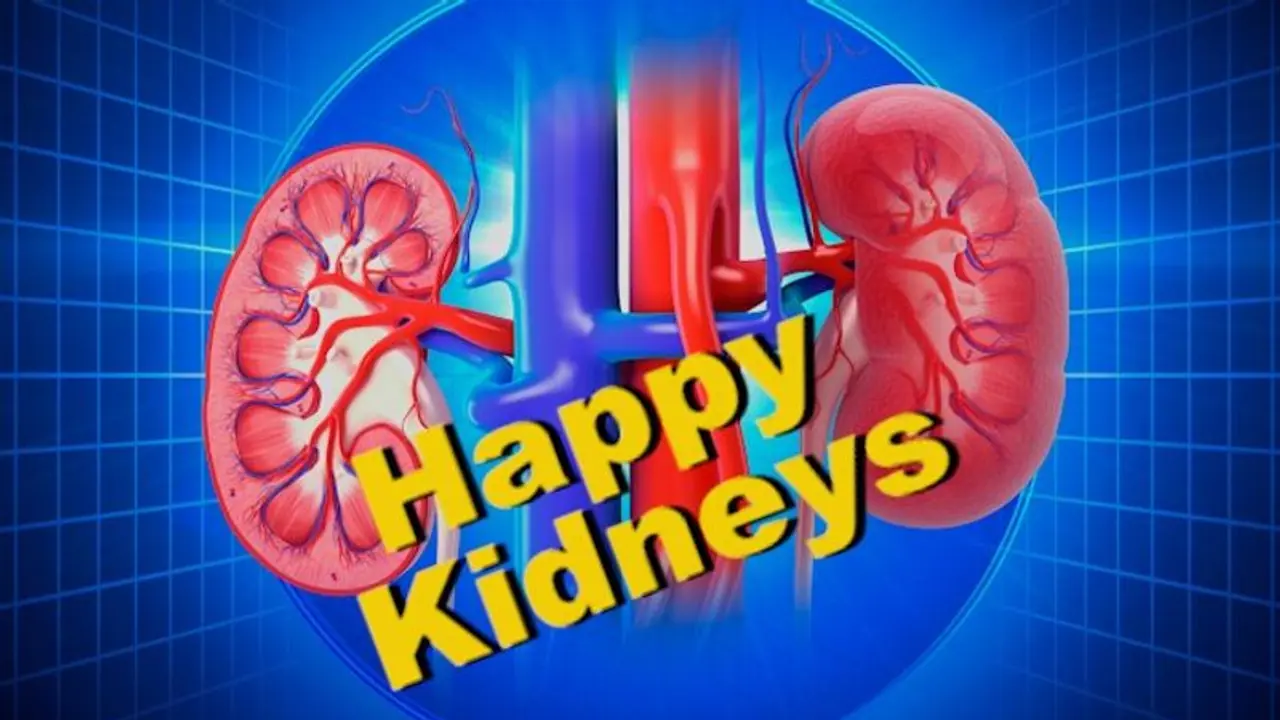 Want to keep your kidney happy? Here are some tips you should follow now