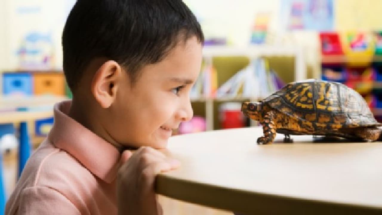 ৩০ বছর পর পোষ্যের খোঁজ! আসল ঘটনা জানতে পেরে মাথায় হাত পরিবারের ৩০ বছর পর পোষ্যের খোঁজ! আসল ঘটনা জানতে পেরে মাথায় হাত পরিবারের