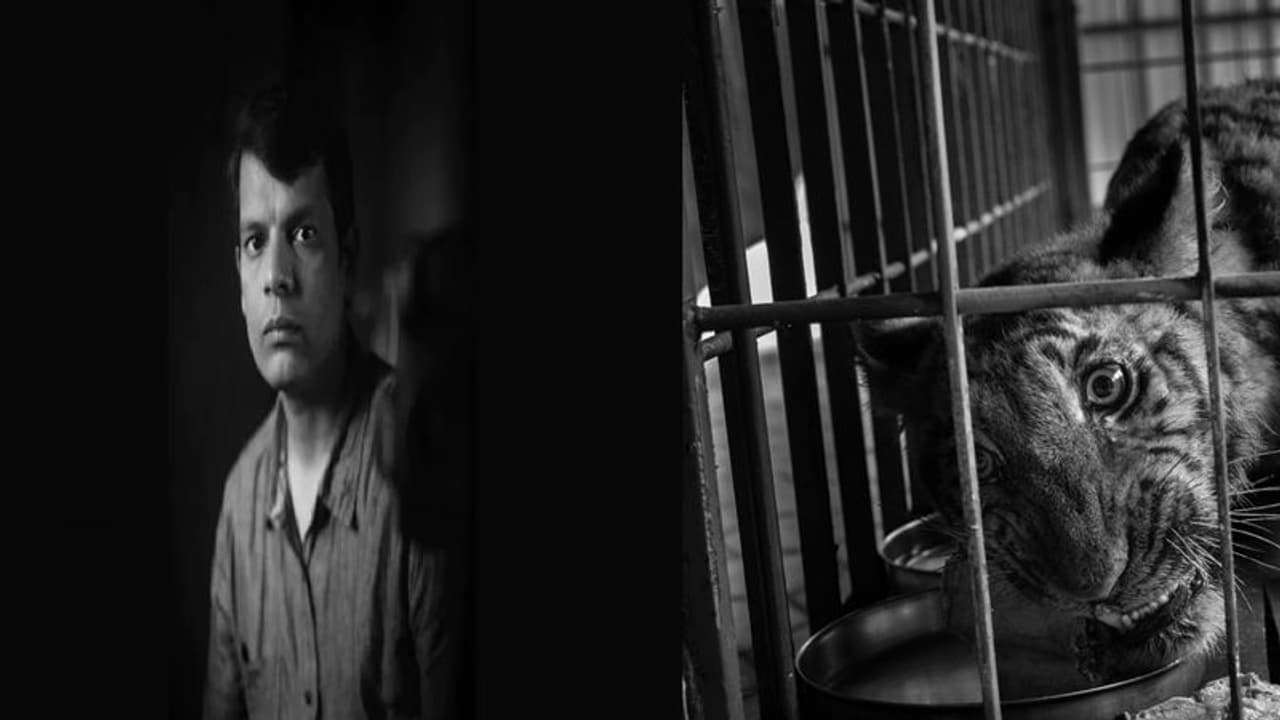 World Press Photo Award: முதல்முறையாக தென்னிந்தியர் தேர்வு.. சர்வதேச விருது பெற்ற மதுரைக்காரர்.. World Press Photo Award: முதல்முறையாக தென்னிந்தியர் தேர்வு.. சர்வதேச விருது பெற்ற மதுரைக்காரர்..