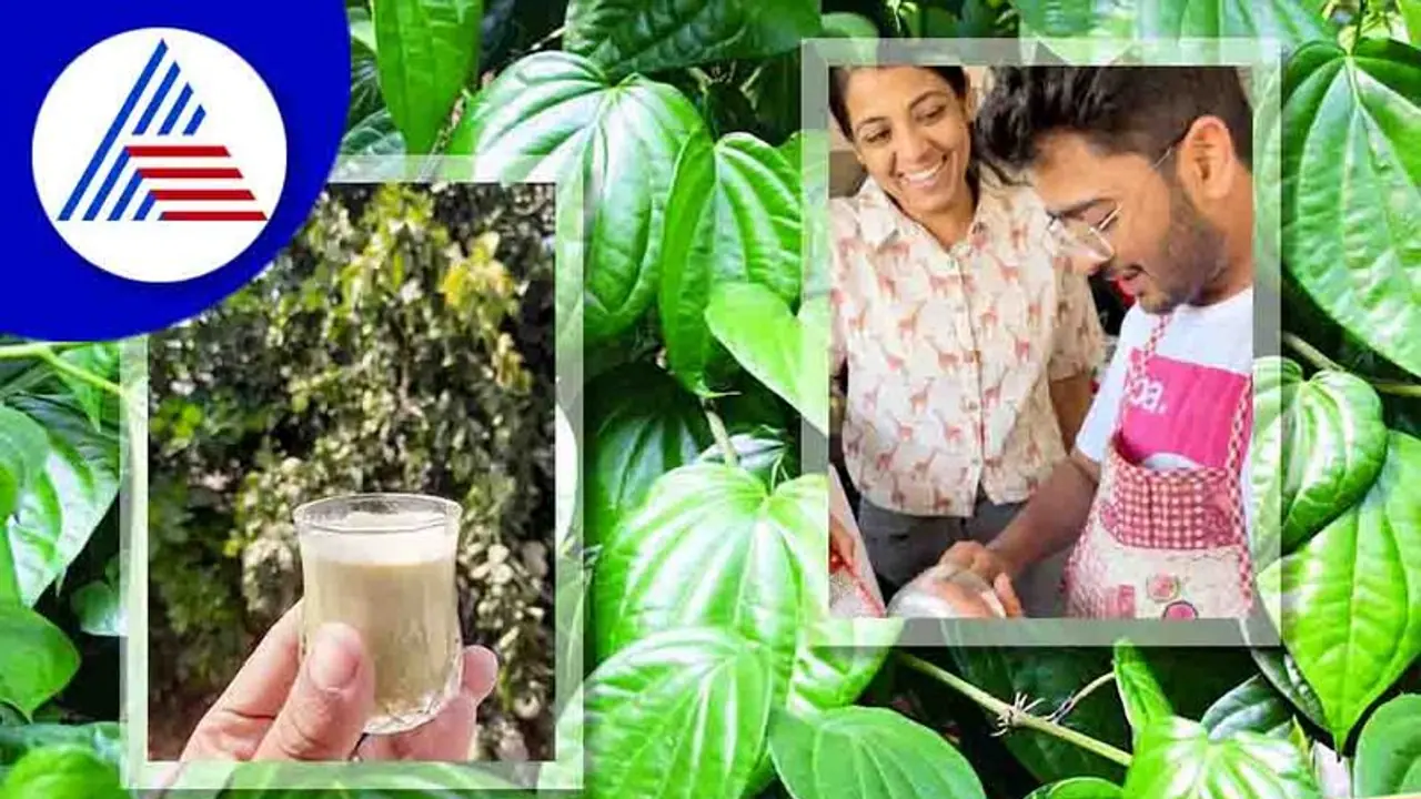 ವೀಳ್ಯದೆಲೆ ತಿನ್ನೋದ್ರಿಂದ ಆರೋಗ್ಯಕ್ಕೆಷ್ಟು ಪ್ರಯೋಜನವಿದೆ ಗೊತ್ತಾ ?