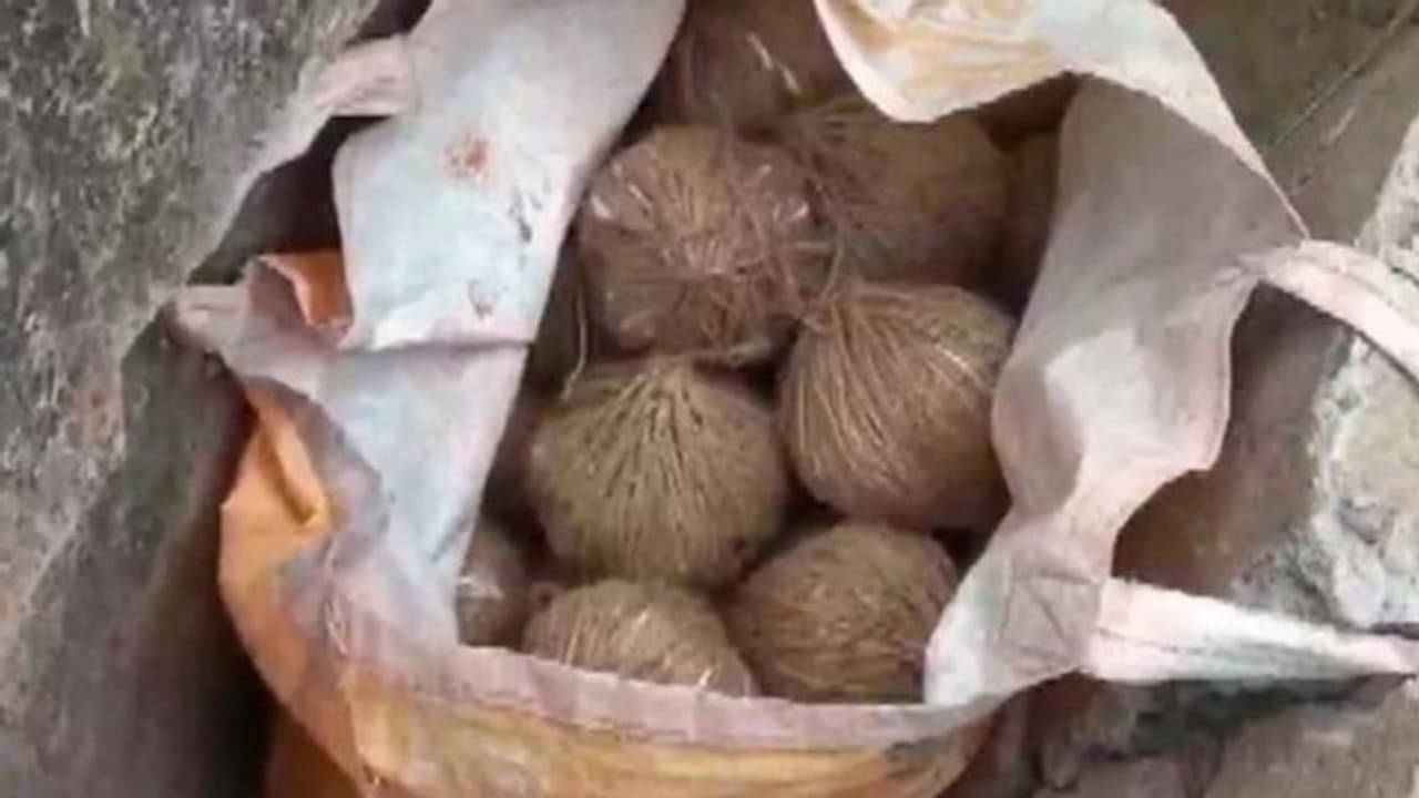 बीरभूम का माहौल खराब करने की साजिश, लगातार दूसरे दिन पुलिस को मिला देसी बमों का जखीरा बीरभूम का माहौल खराब करने की साजिश, लगातार दूसरे दिन पुलिस को मिला देसी बमों का जखीरा