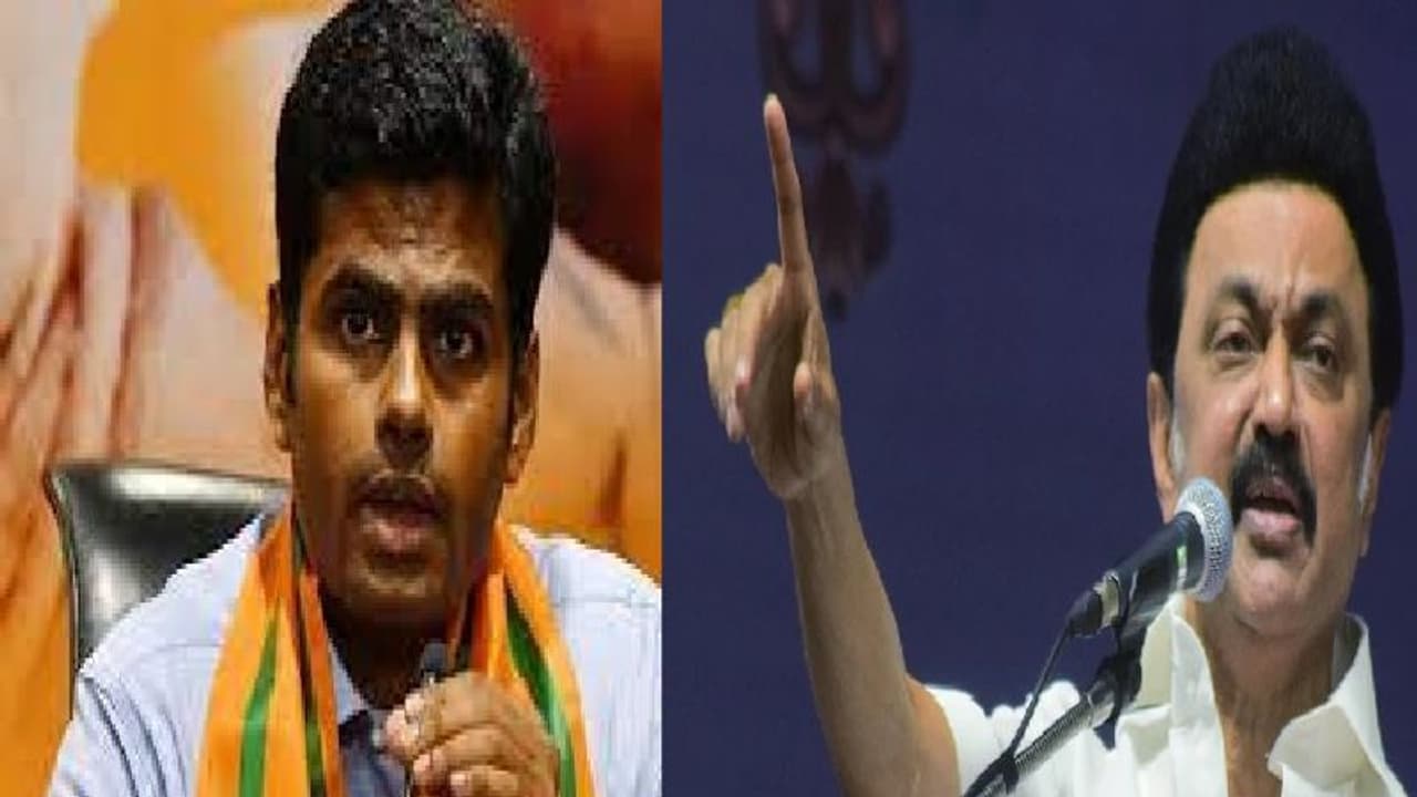 தங்கள் இருப்பை காட்டவே இந்த அரசியல்.. ! நறுக் என்று பதிலடி கொடுத்த ஸ்டாலின்..