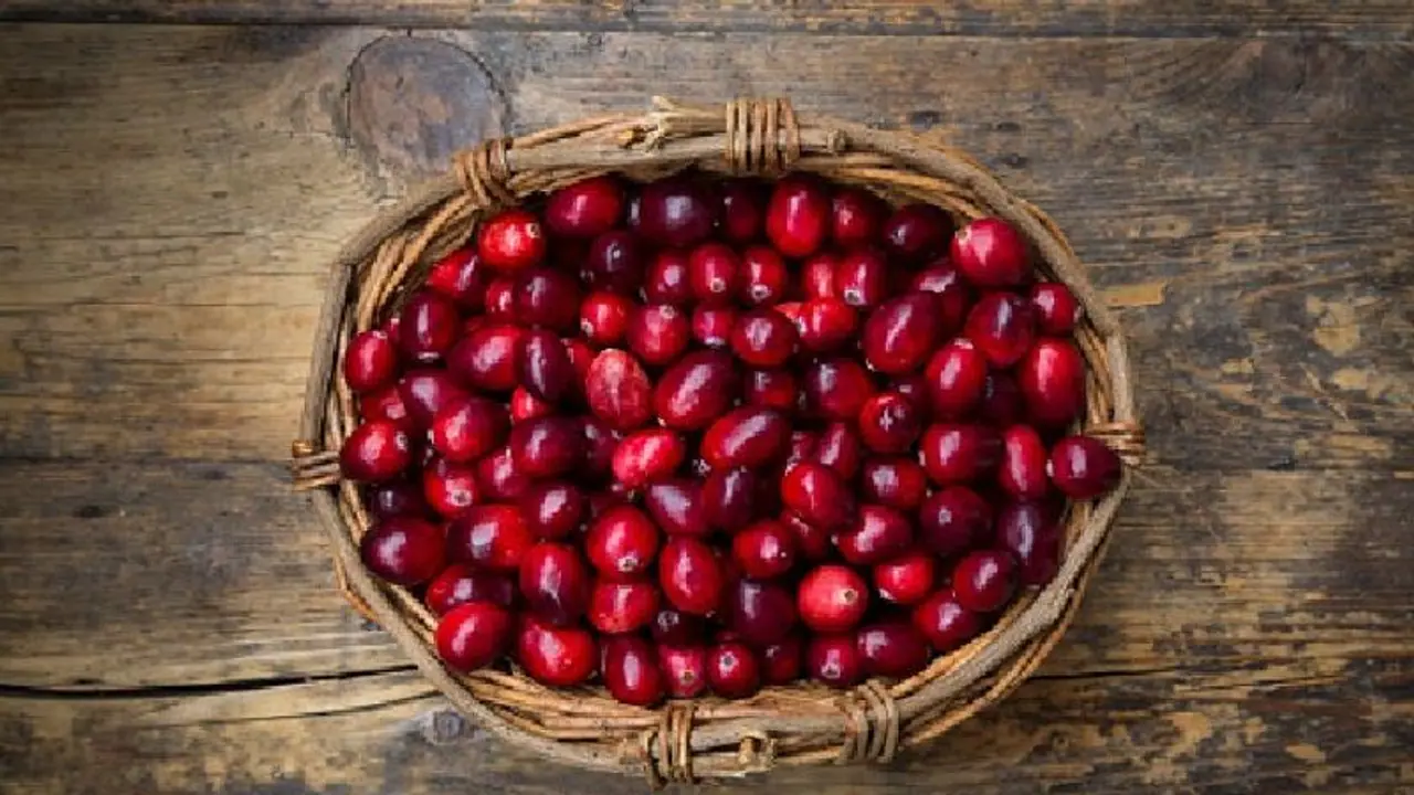 ക്രാന്‍ബെറിയുടെ ആരോ​ഗ്യ​ഗുണങ്ങളെ കുറിച്ചറിയാം