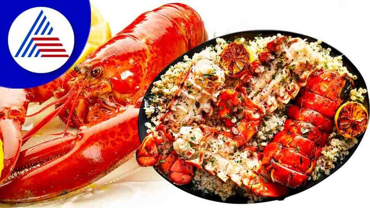 Lobster ಎಂಬ ವಿಚಿತ್ರ ಸಮುದ್ರ ಜೀವಿ ತಿನ್ನೋ ತಟ್ಟೆಯಲ್ಲಿ ಬಂದದ್ದು ಹೇಗೆ? Lobster ಎಂಬ ವಿಚಿತ್ರ ಸಮುದ್ರ ಜೀವಿ ತಿನ್ನೋ ತಟ್ಟೆಯಲ್ಲಿ ಬಂದದ್ದು ಹೇಗೆ?