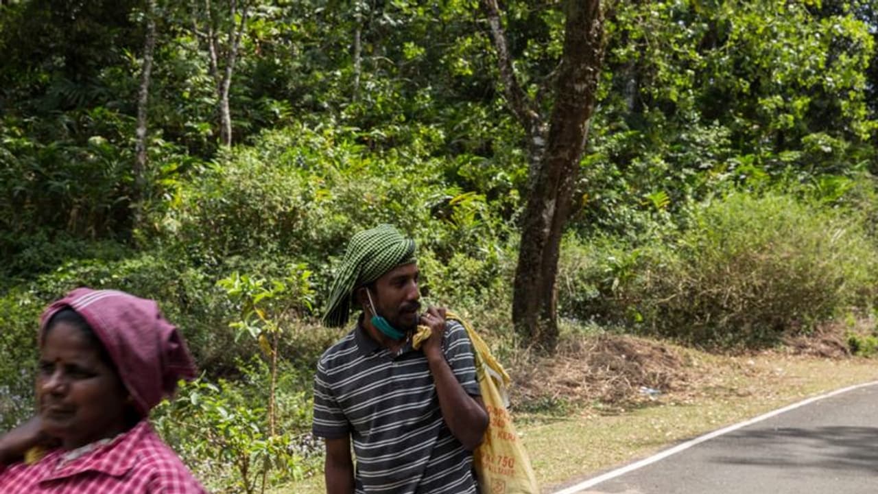 Lanka Issue : തമിഴർ പലായനത്തിന്റെ വക്കിൽ; ഇന്ത്യയുടെ സാമ്പത്തിക സഹായം ജീവവായുമെന്ന് മുൻ സ്പീക്കർ കരു ജയസൂര്യ Lanka Issue : തമിഴർ പലായനത്തിന്റെ വക്കിൽ; ഇന്ത്യയുടെ സാമ്പത്തിക സഹായം ജീവവായുമെന്ന് മുൻ സ്പീക്കർ കരു ജയസൂര്യ