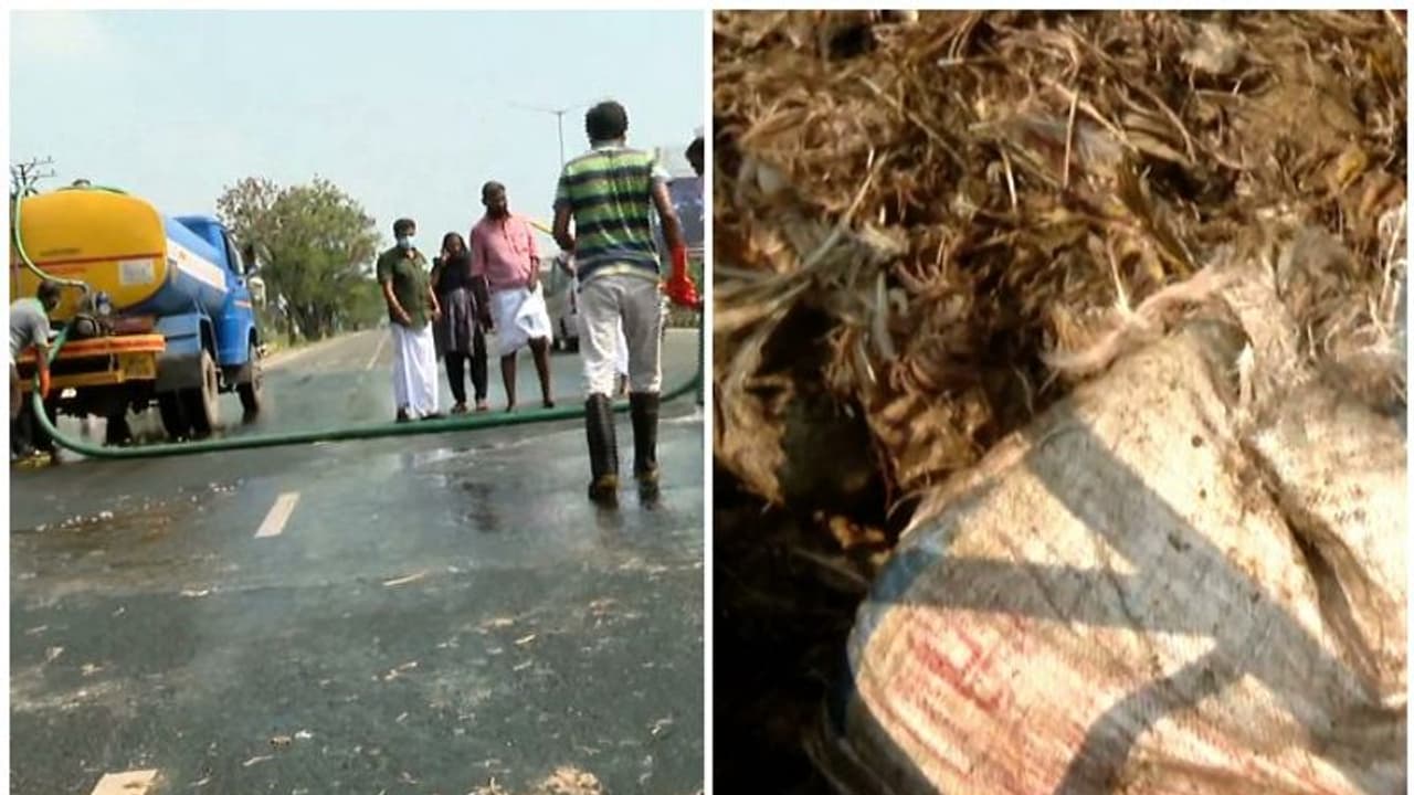 കൊച്ചി ദേശീയപാതയിൽ കോഴിയുടെ അവശിഷ്ടങ്ങള്‍ ചിതറിത്തെറിച്ച നിലയില്‍; പൊലീസ് അന്വേഷണം