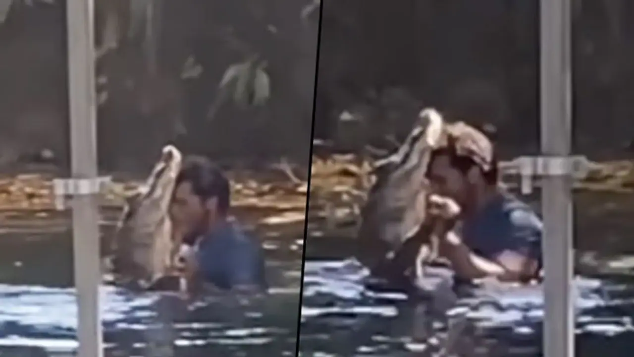 Watch: Man's grooves with an Alligator; stuns netizens