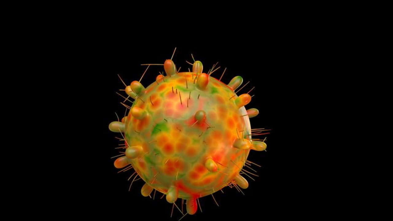 भारत में मिला Omicron का नया variant XE, यहां हुई पहले मामले की पुष्टि, देखें कितना खतरनाक है ये वायरस भारत में मिला Omicron का नया variant XE, यहां हुई पहले मामले की पुष्टि, देखें कितना खतरनाक है ये वायरस