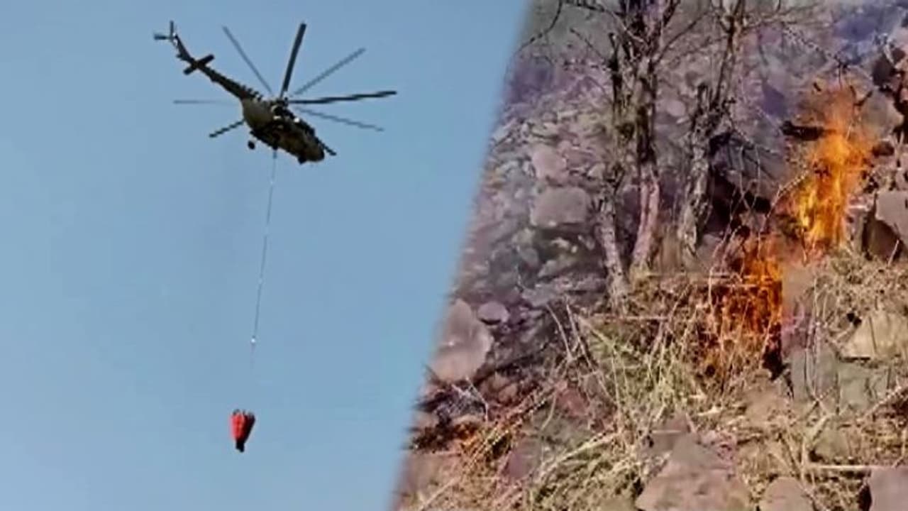 Sariska Fire ಸಾರಿಸ್ಕಾ ಕಾಡ್ಗಿಚ್ಚು ಬಹುತೇಕ ನಿಯಂತ್ರಣಕ್ಕೆ, ಬೆಂಕಿಯಿಂದ ಹುಲಿಗೆ ತೊಂದರೆಯಾಗಿಲ್ಲ!