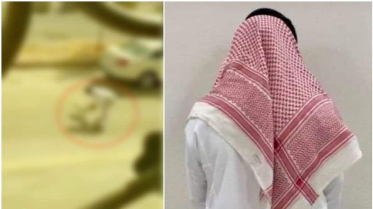 നായ്ക്കുട്ടിയെ തൂക്കിയെടുത്ത് റോഡില് അടിച്ചു; സൗദിയില് സ്വദേശിയെ അറസ്റ്റില് നായ്ക്കുട്ടിയെ തൂക്കിയെടുത്ത് റോഡില് അടിച്ചു; സൗദിയില് സ്വദേശിയെ അറസ്റ്റില്