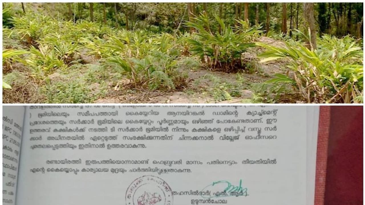 സുപ്രീംകോടതി ഉത്തരവിന് പുല്ലുവില; ചിന്നക്കനാലിൽ കയ്യേറ്റക്കാർക്കെതിരെ നടപടിയില്ല ; കയ്യേറിയത് 13ഏക്കർ ഭൂമി സുപ്രീംകോടതി ഉത്തരവിന് പുല്ലുവില; ചിന്നക്കനാലിൽ കയ്യേറ്റക്കാർക്കെതിരെ നടപടിയില്ല ; കയ്യേറിയത് 13ഏക്കർ ഭൂമി