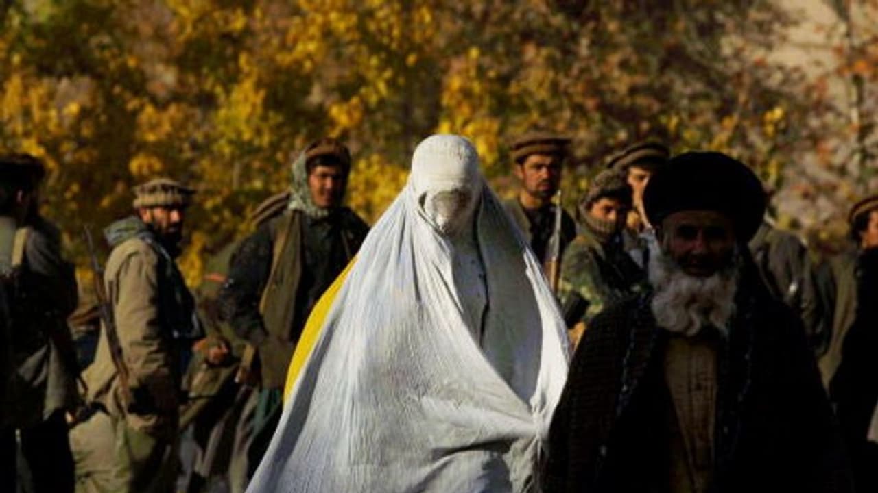 Taliban stops issuing driving license to Afghan women Taliban stops issuing driving license to Afghan women