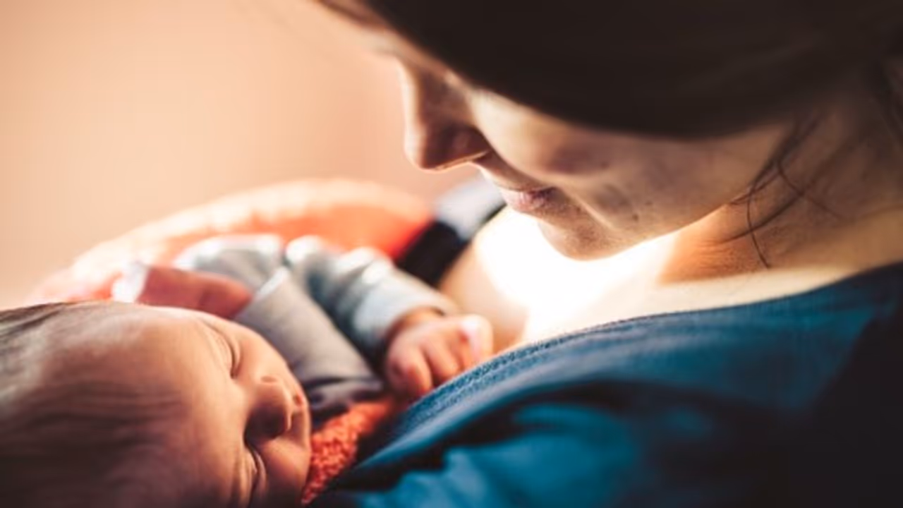 মাসিকের কতদিন পরে সহবাস করলে বাচ্চা হয়? সহজ ব্যাখ্য়ায় জানুন অতি গুরুত্বপূর্ণ তথ্য মাসিকের কতদিন পরে সহবাস করলে বাচ্চা হয়? সহজ ব্যাখ্য়ায় জানুন অতি গুরুত্বপূর্ণ তথ্য