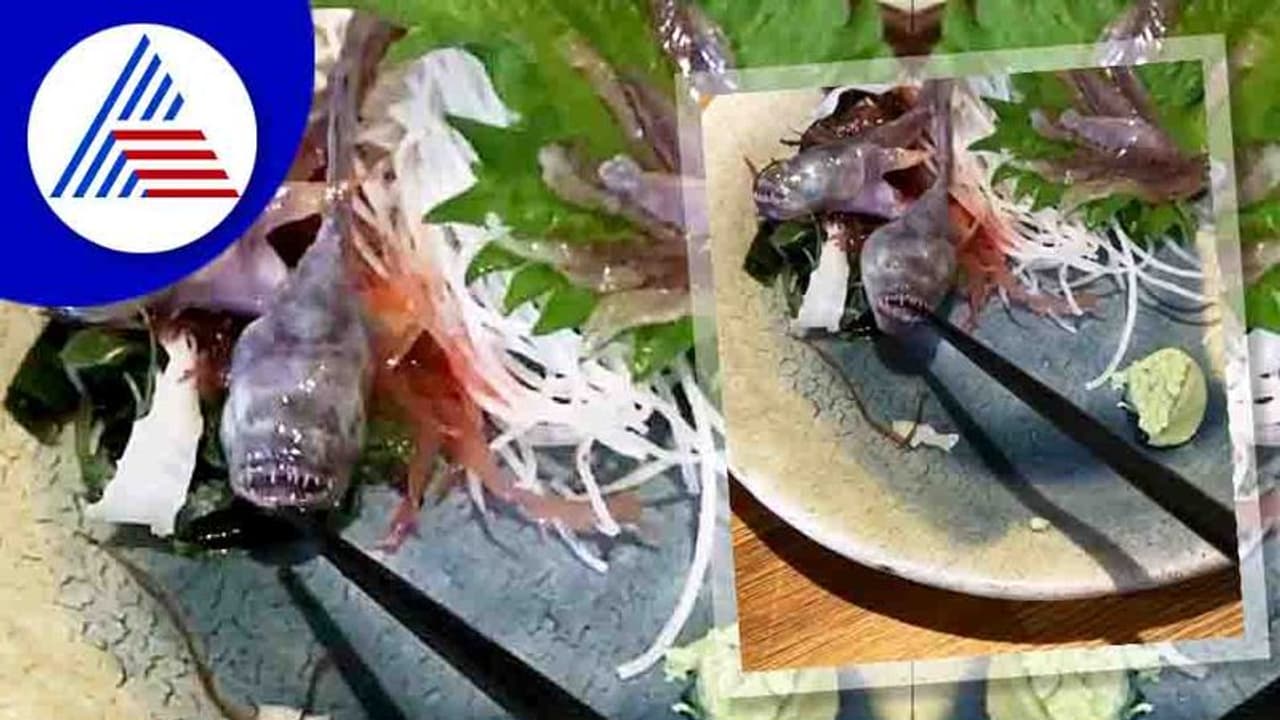 ತಟ್ಟೇಲಿದ್ದ ಮೀನು ತಿನ್ನೋಕೆ ಹೊರಟ್ರೆ ಮೀನೇ ಬಾಯಿ ಓಪನ್ ಮಾಡ್ತು !