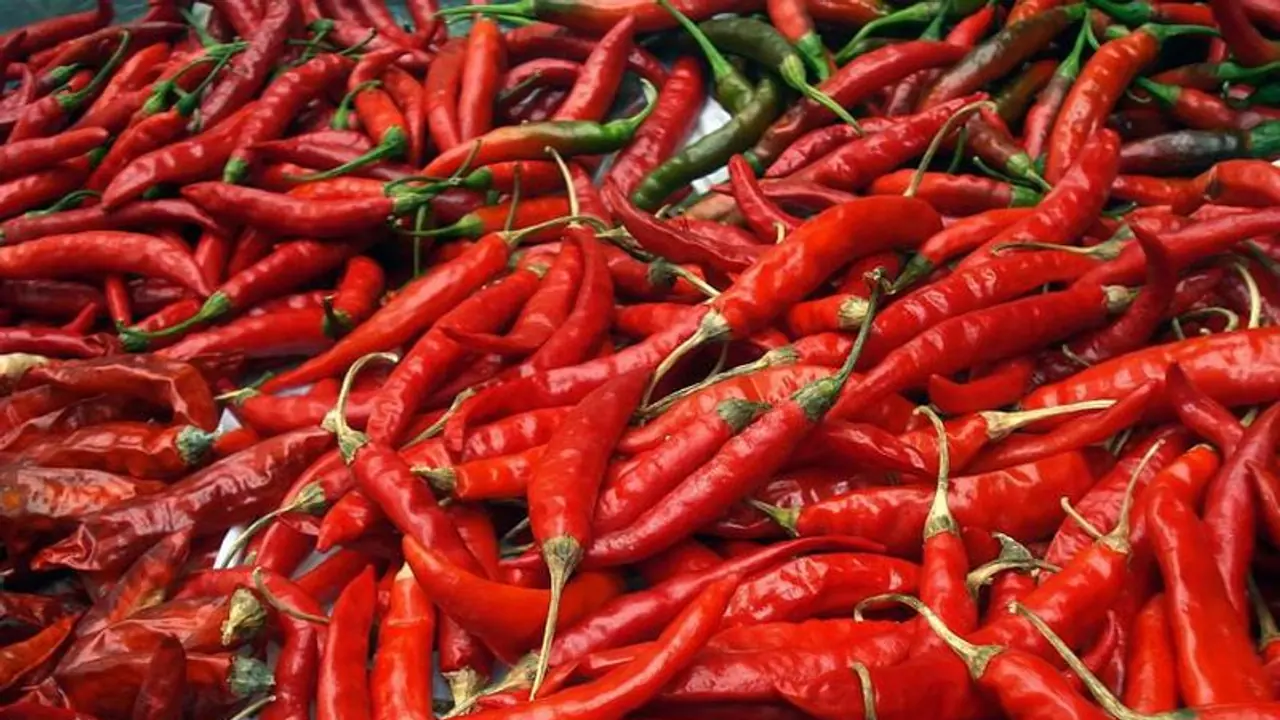 వరంగల్ ఎనుమాముల మార్కెట్‌లో మిర్చికి రికార్డు ధర: పసిడిని దాటిన మిర్చి రేట్