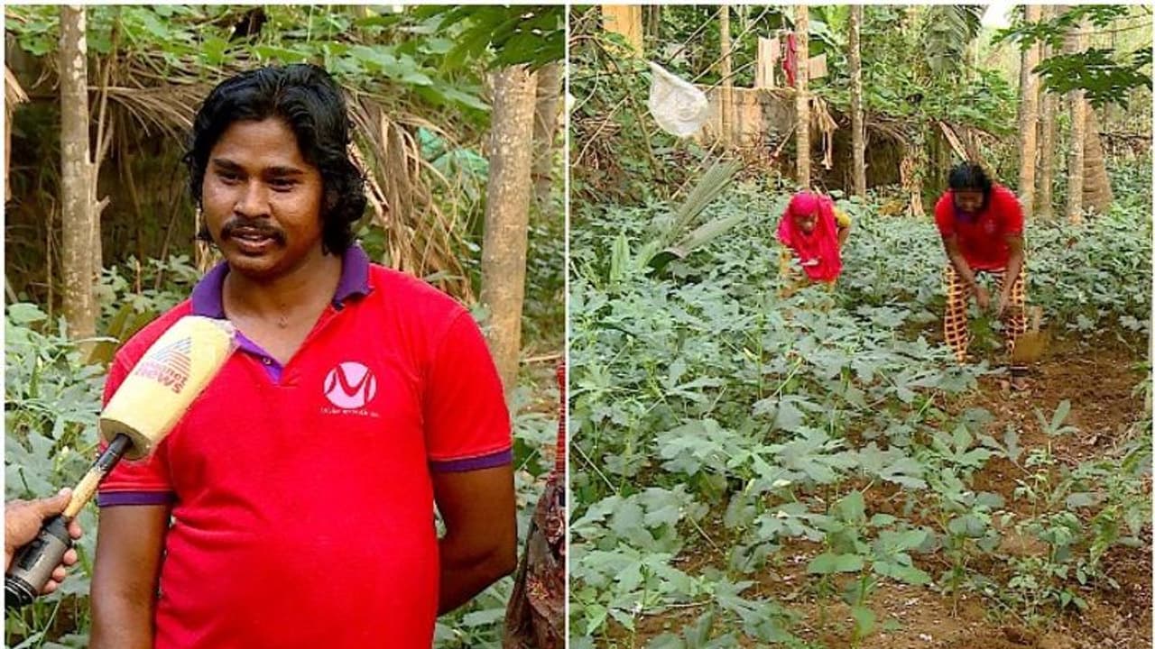 എട്ട് സെന്റിൽ പച്ചക്കറി വിളയിച്ച് മലപ്പുറത്തെ ചപ്പാത്തി കമ്പനിയിലെ അതിഥി തൊഴിലാളി