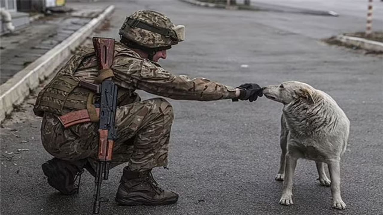 ఉక్రెయిన్‌లో కుక్కలను తింటున్న రష్యా సైనికులు.. ఆ కాల్ రికార్డింగ్‌లో దారుణ విషయాలు వెలుగులోకి