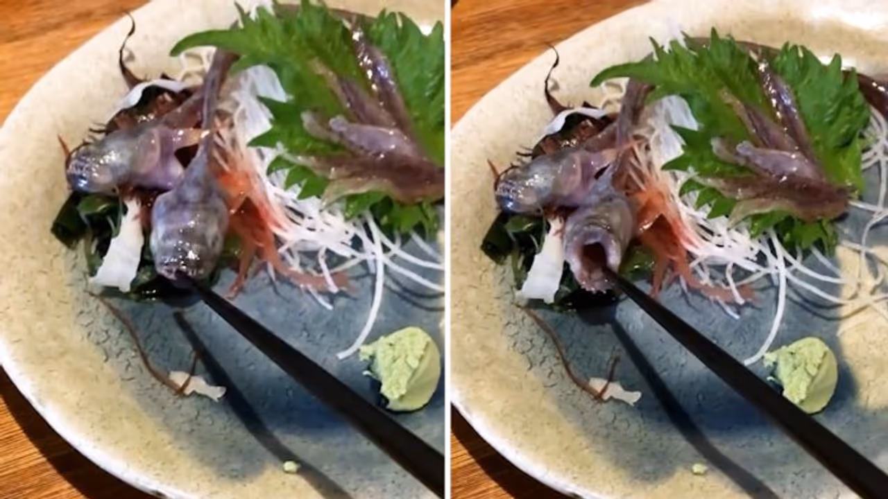 Watch: Man got stunned after fish on his plate was alive and bit chopstick