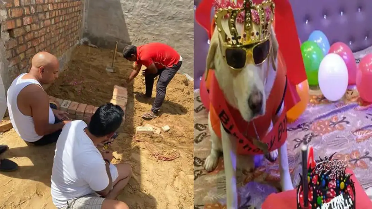 राजस्थान के सीकर की अनोखी घटना: डॉगी की मौत पर रोया परिवार, आत्मा की शांति के लिए किया यज्ञ और भंडारा