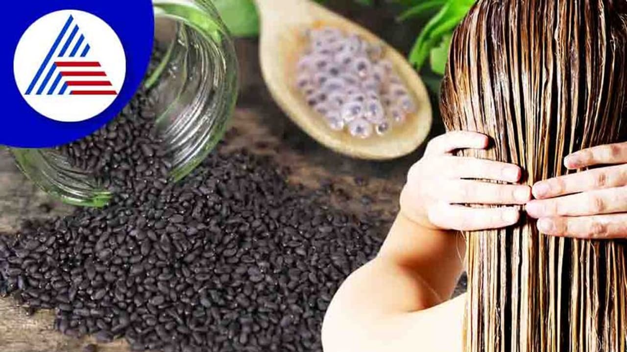 Hair Care : ತುಳಸಿ ಬೀಜದಲ್ಲಿದೆ ಕೂದಲ ಸೌಂದರ್ಯದ ಗುಟ್ಟು Hair Care : ತುಳಸಿ ಬೀಜದಲ್ಲಿದೆ ಕೂದಲ ಸೌಂದರ್ಯದ ಗುಟ್ಟು