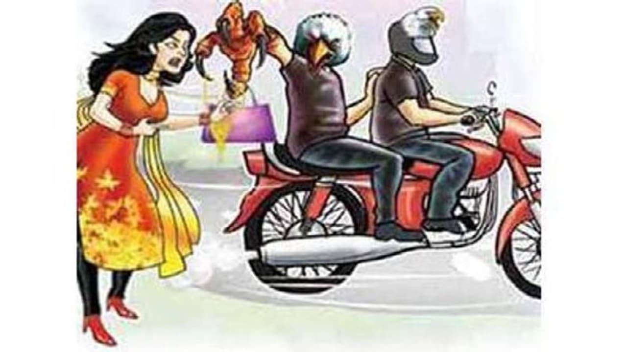 पर्स लूटेरों को महिला ने ऐसे सिखाया सबक, जाने पूरा मामला