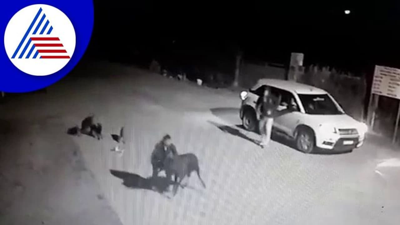 Udupi: ಕರಾವಳಿಯಲ್ಲಿ ಮತ್ತೆ ಮುಂದುವರಿದ ಗೋಕಳ್ಳರ ಅಟ್ಟಹಾಸ Udupi: ಕರಾವಳಿಯಲ್ಲಿ ಮತ್ತೆ ಮುಂದುವರಿದ ಗೋಕಳ್ಳರ ಅಟ್ಟಹಾಸ