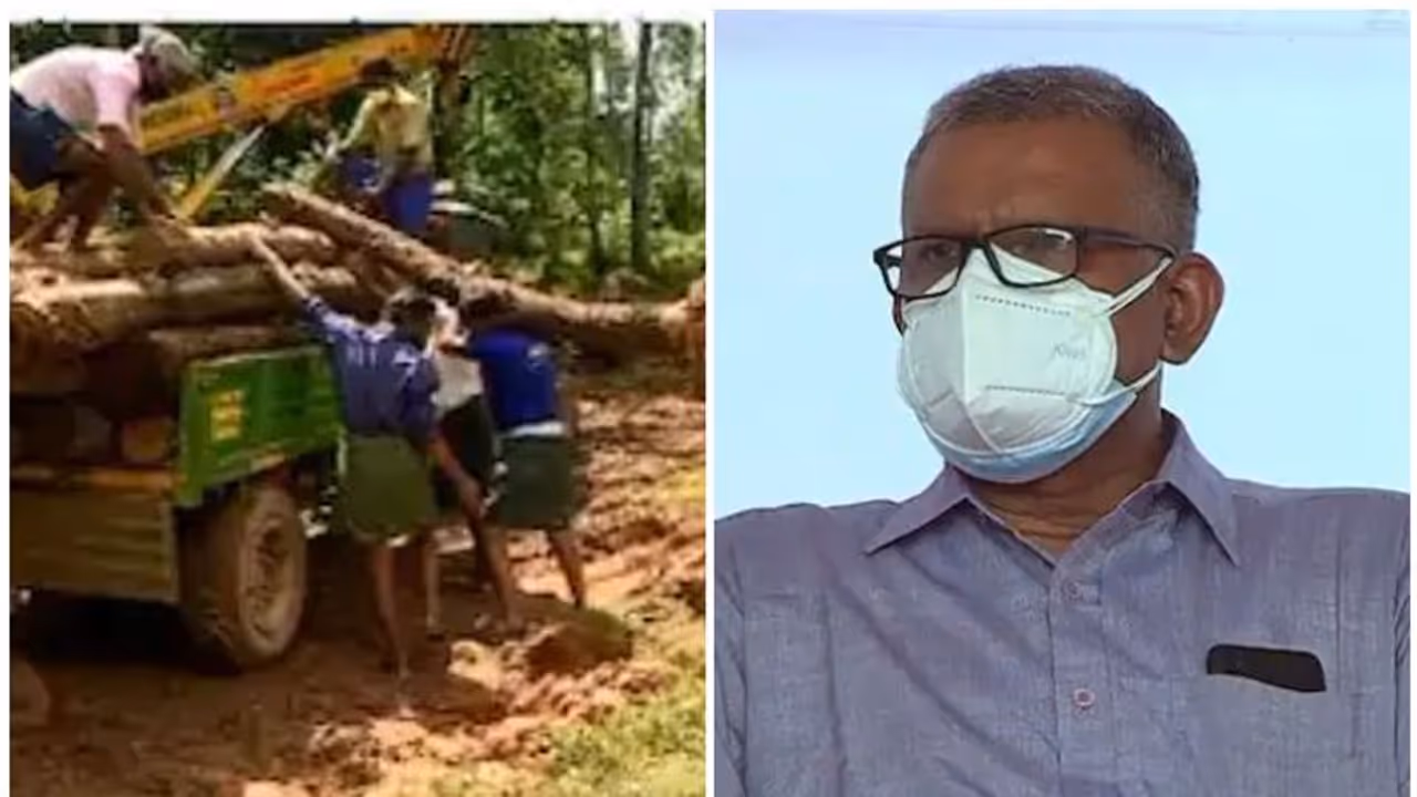 മുട്ടിൽ മരംമുറി കേസ്; നിർണായക കണ്ടെത്തലുകൾ നടത്തിയ ഉദ്യോഗസ്ഥനെ സ്ഥലംമാറ്റി, എന്‍ ടി സാജനെ സ്ഥാന കയറ്റം 